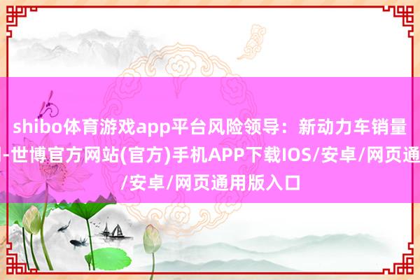 shibo体育游戏app平台风险领导：新动力车销量不足预期-世博官方网站(官方)手机APP下载IOS/安卓/网页通用版入口