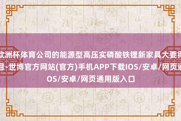 欧洲杯体育公司的能源型高压实磷酸铁锂新家具大要得志快充条目-世博官方网站(官方)手机APP下载IOS/安卓/网页通用版入口